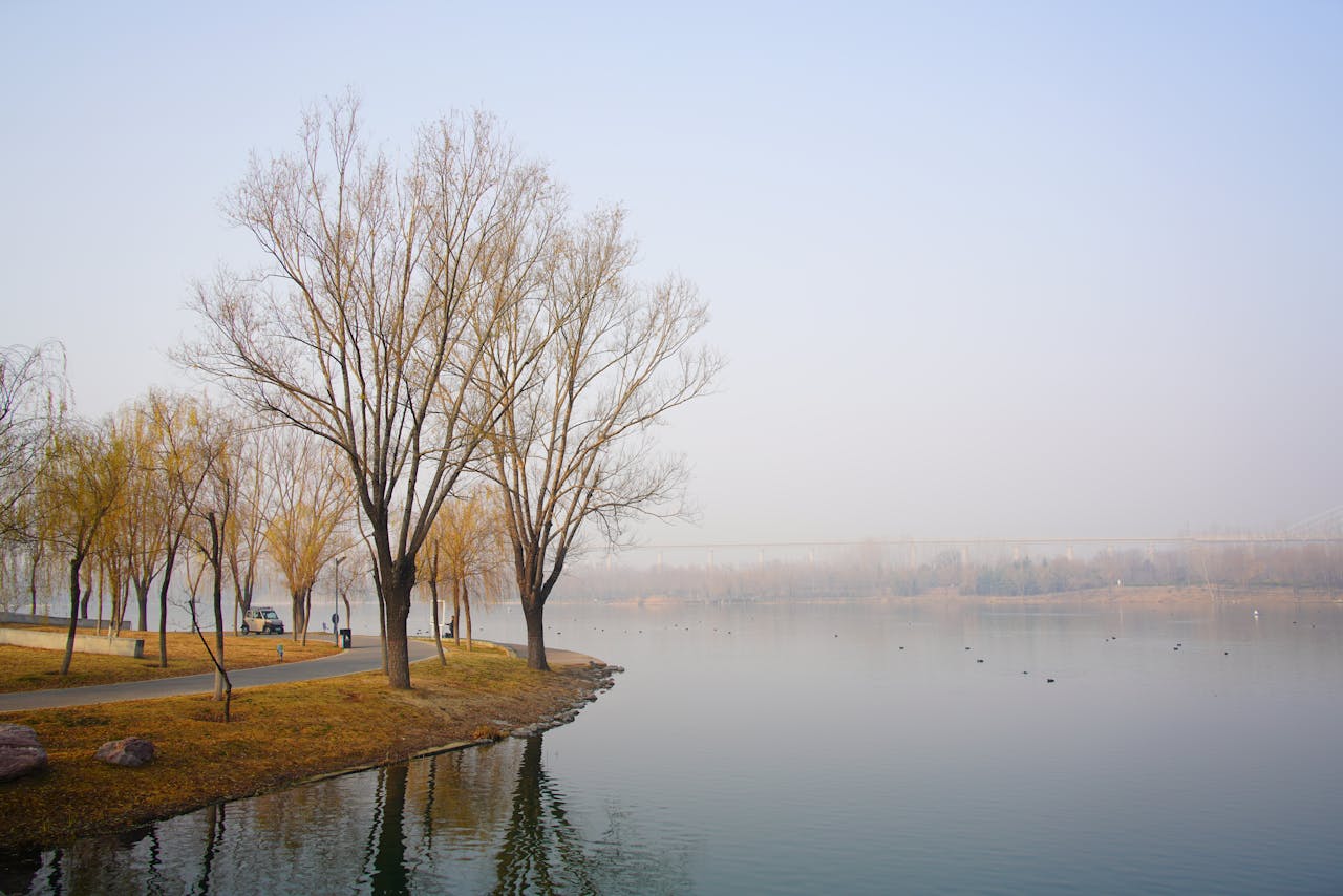 The New Social Fitness: How Community is Becoming the Ultimate Wellness Tool