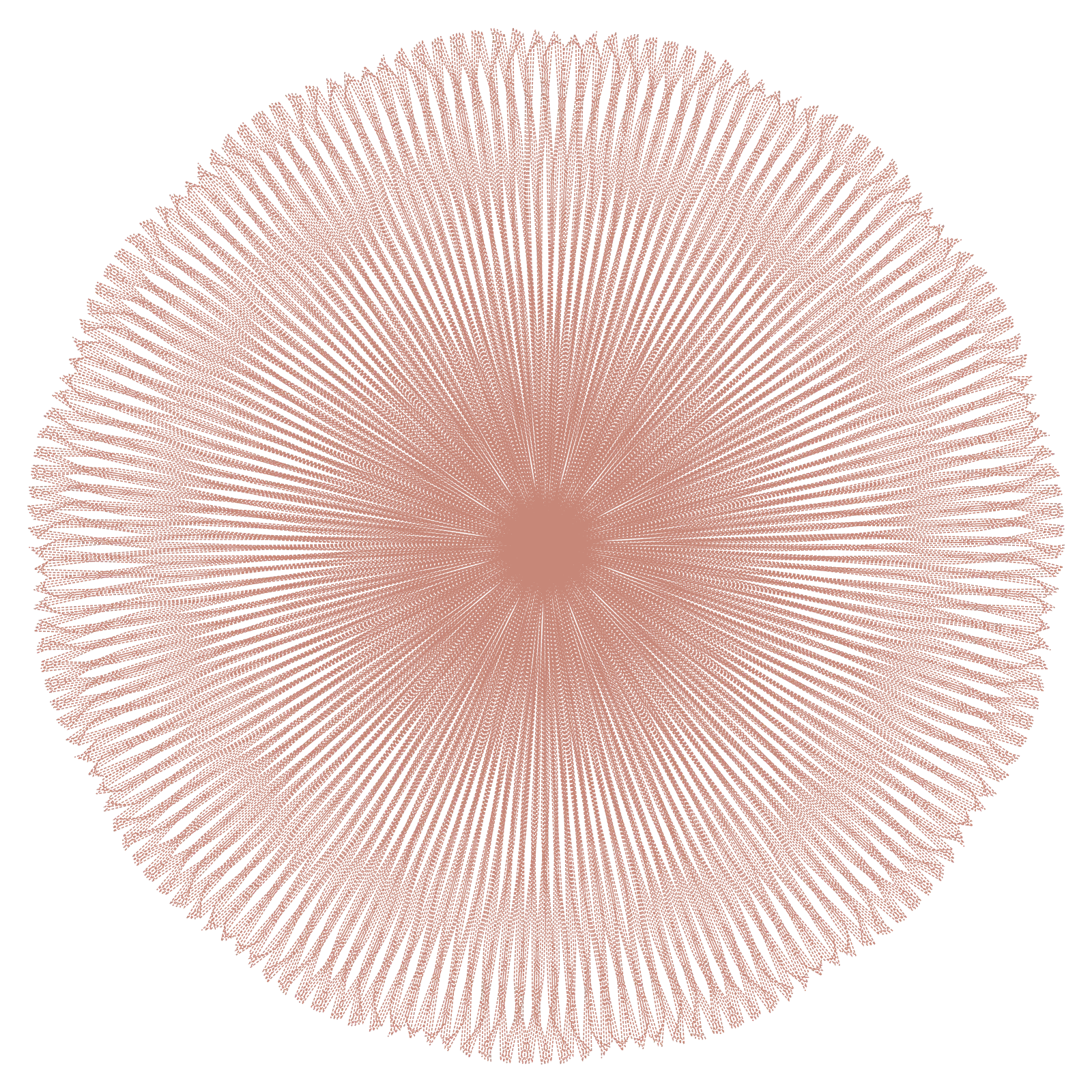 Star of David - Wildflower Mix Generative Pattern