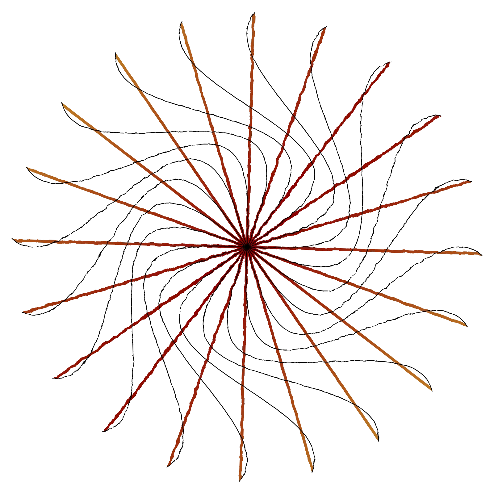 Hypotrochoid Flower