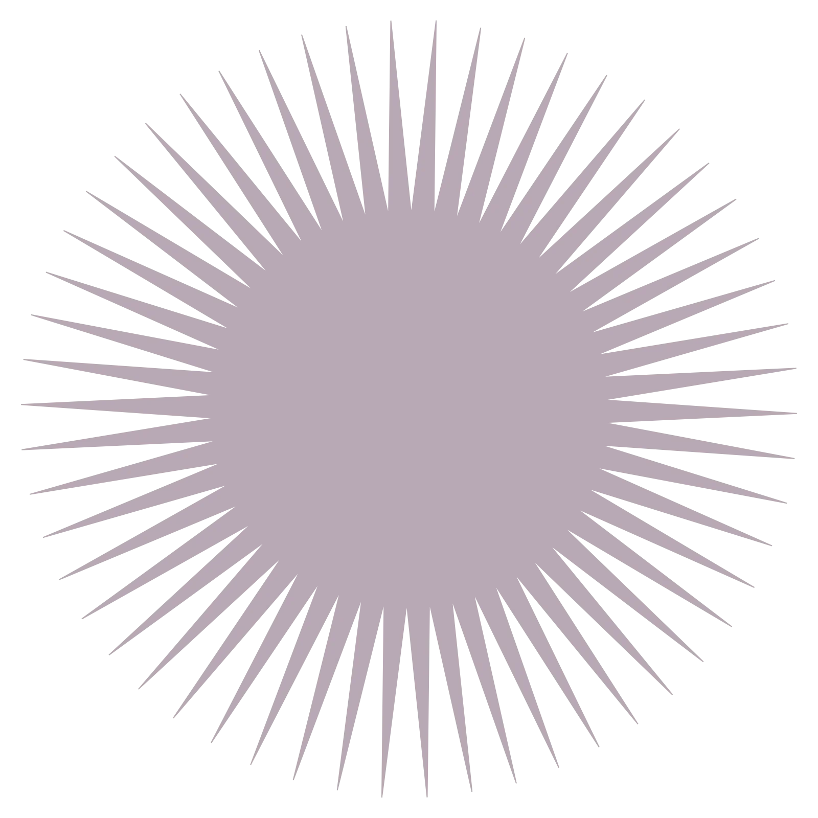 Reaction-Diffusion Pattern